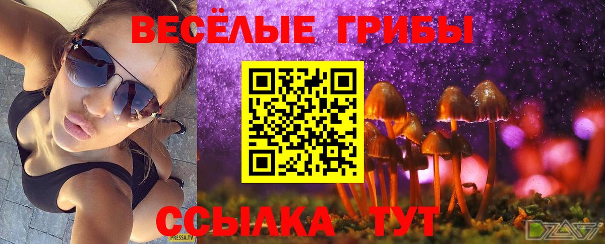 Острогожск  Псилоцибиновые грибы мицелий  наркошоп  Вход с VPN 