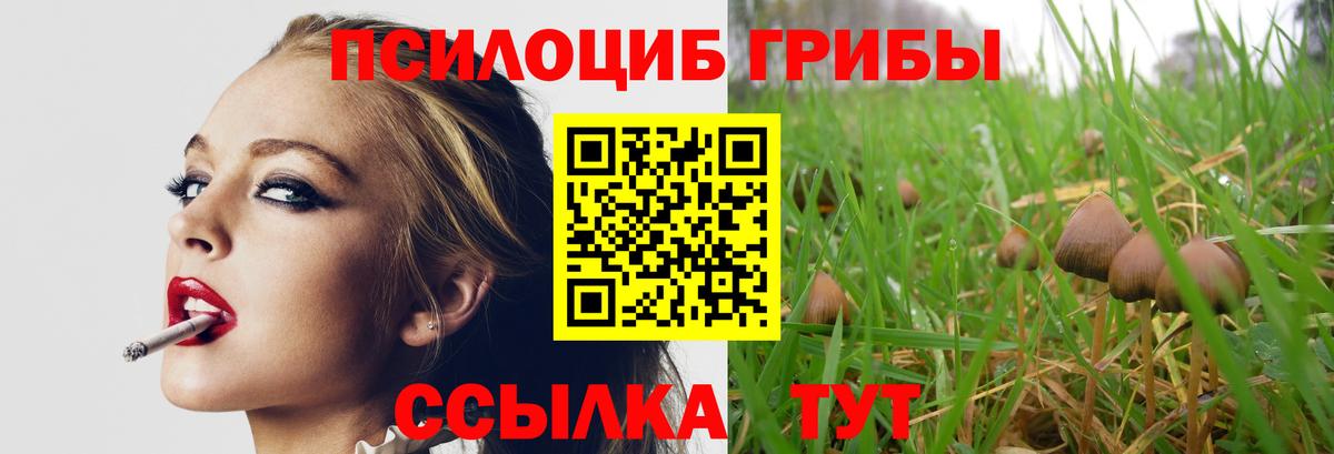 Псилоцибиновые грибы мицелий Острогожск